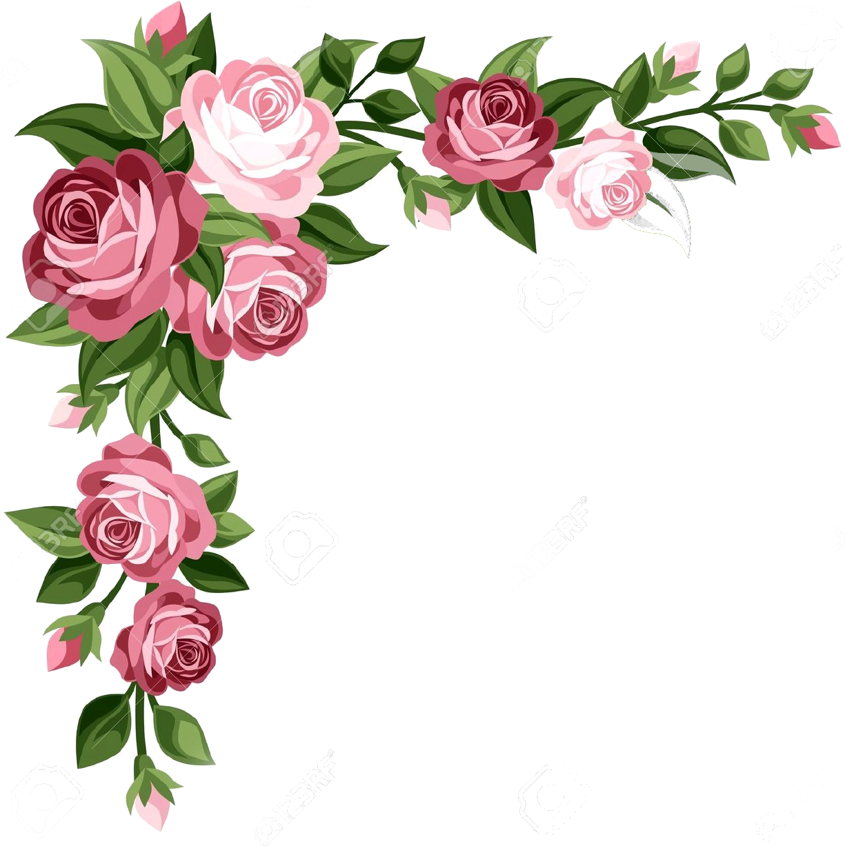 Marcos - Roses Clip Art Border (1300x1300)