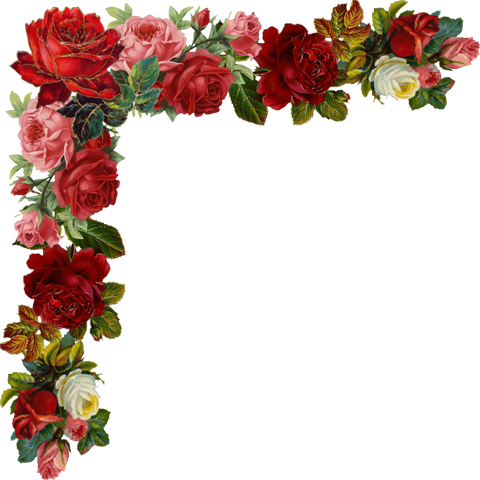 Laminas Para Decoupage - Roll Call-the Old Rose Breeder: A Gazetteer Of Breeders, (480x480)