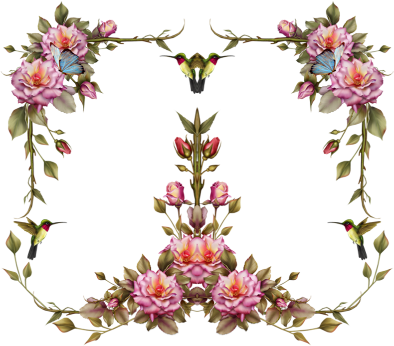 Marcos Fhotoscape, Photoshop Y Gimp Marcos Flores - Flower Frame (800x700)