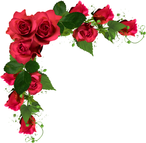 Marcos Con Flores By Monicaaries26 - Roses Png (500x494)