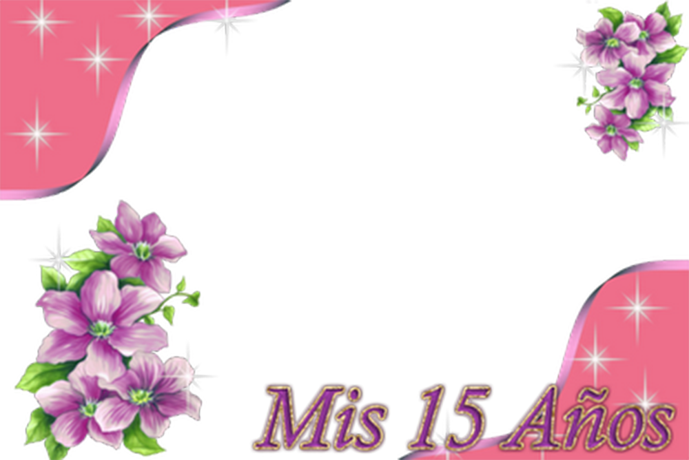 Marco De Flores 15 Años - Pink Flowers Borders And Frames Png (1000x668)
