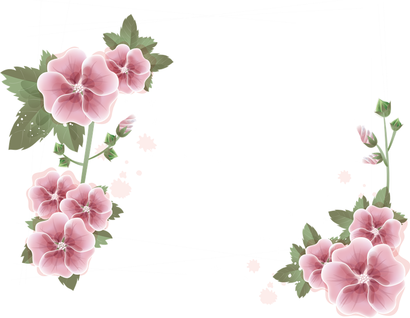 Arboles Y Flores Png - Marcos De Flores Png (800x620)