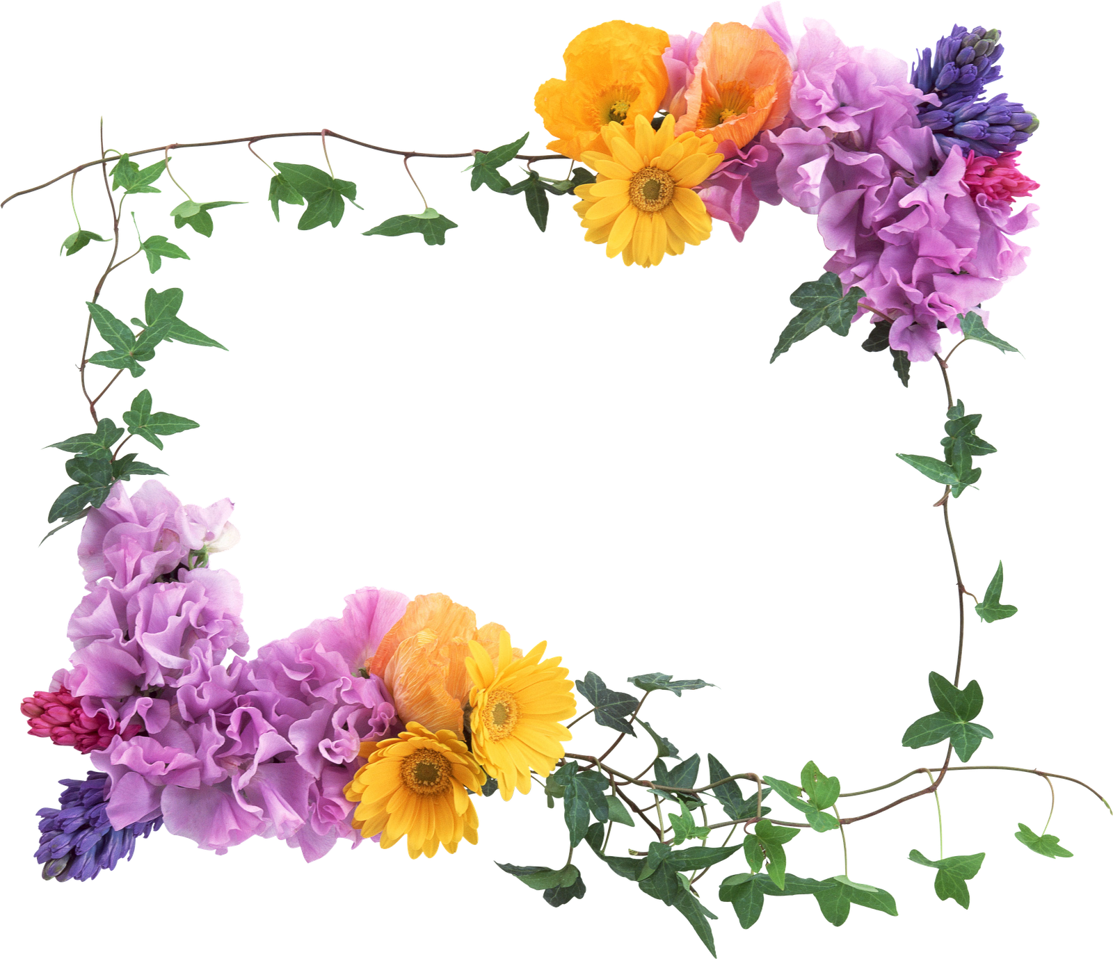 Marcos Para Fotos Con Flores - God Smiles On You (1600x1379)