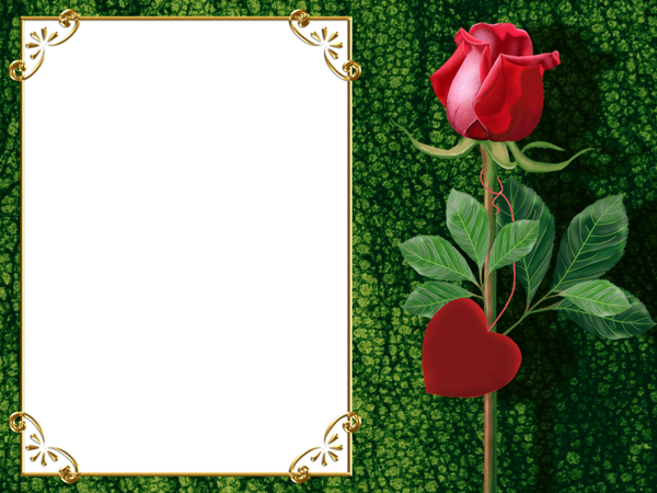 Transparent Green Png Photo Frame With Rose And Heart - Beautiful Frames For Photo Editing Online (600x450)