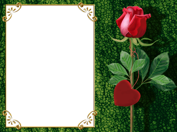 Transparent Green Png Photo Frame With Rose And Heart - Beautiful ...