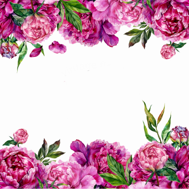 Purple Floral Border Transparent Image - Floral Border Pink Purple (650x651)