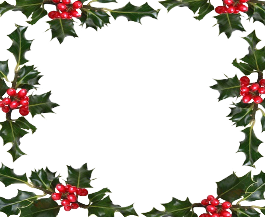 Free Christmas Holly Transparent Background - Holiday Border Transparent Background (900x736)