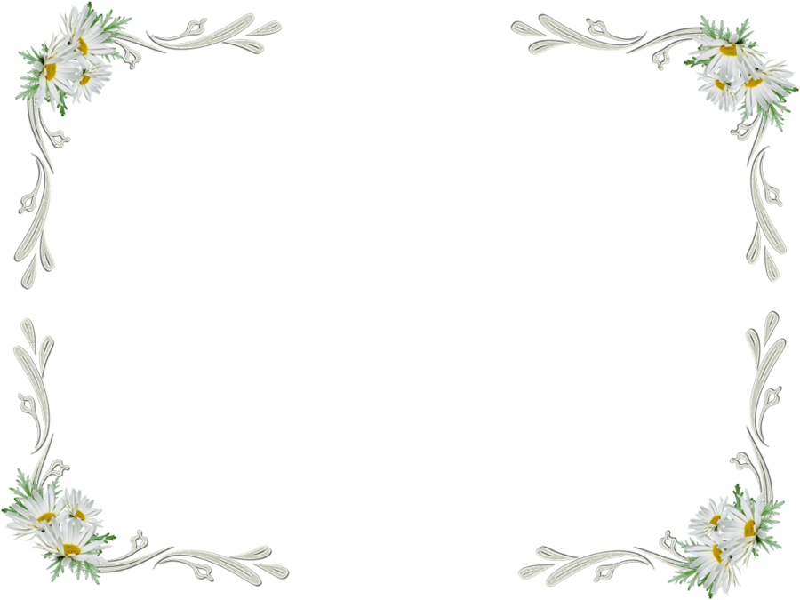 White Floral Border Transparent - White Flower Border Transparent Background (900x675)
