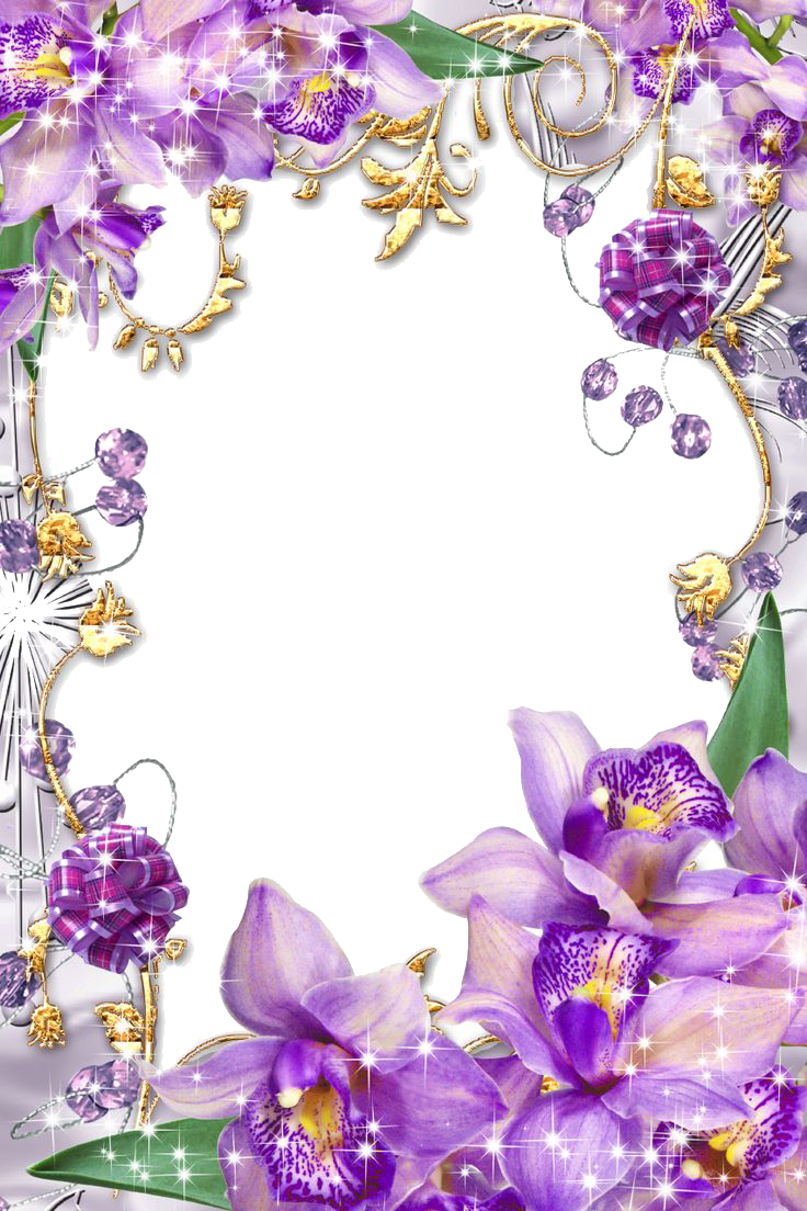 Purple Border Frame Png Transparent Image - Purple Flower Frames Png (736x1104)