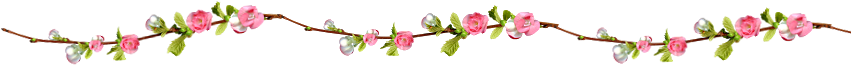 Parkjirim 1 0 Flores Png By Parkjirim - Portable Network Graphics (850x315)