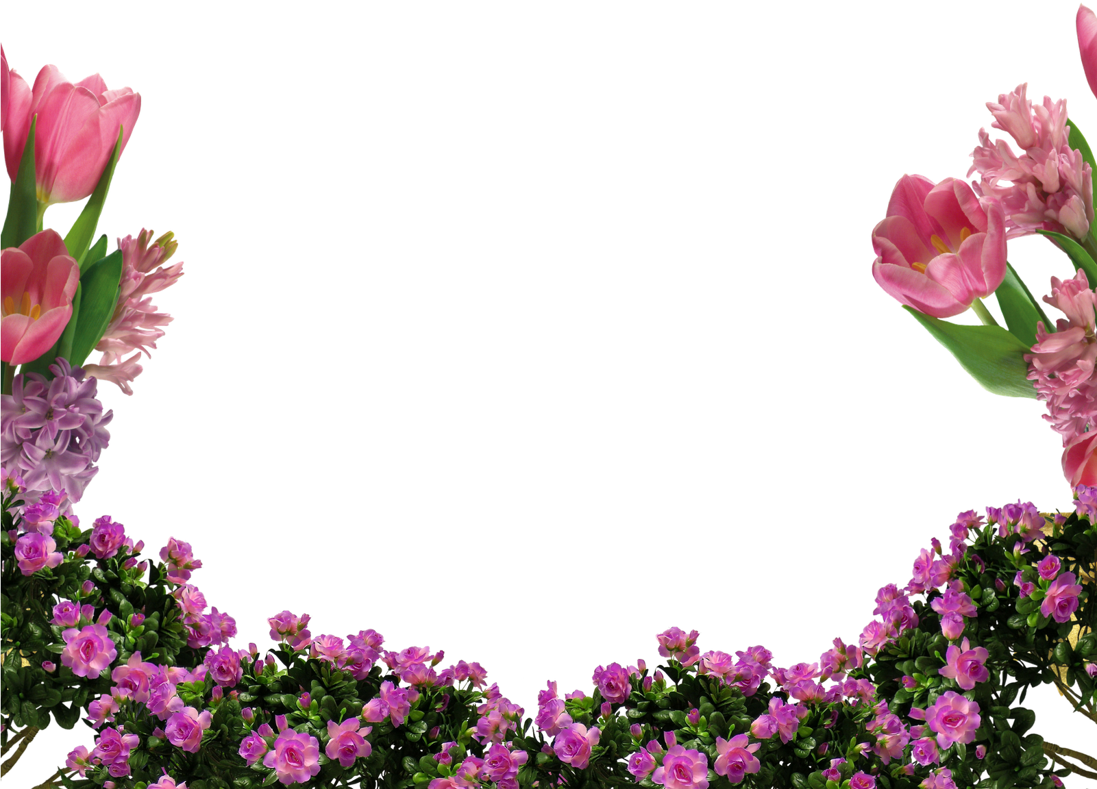 De Nuria D • Publicado En Marcos Para Fotos Con Flores - Nice Pic Of Flowers (1600x1180)