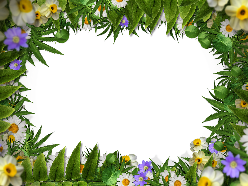 Flower Frame Border Png With Green Leaves Background - Transparent Background Leaf Border (800x600)