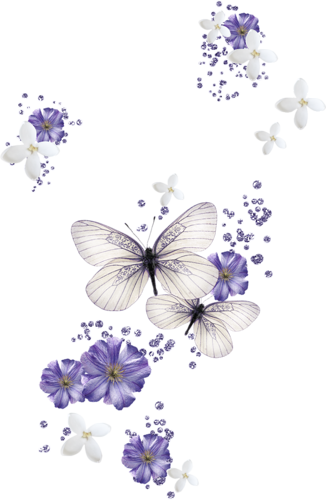 This Would Make A Lovely Summer Time Border - Mariposa Fondos De Pantalla De Flores (326x500)