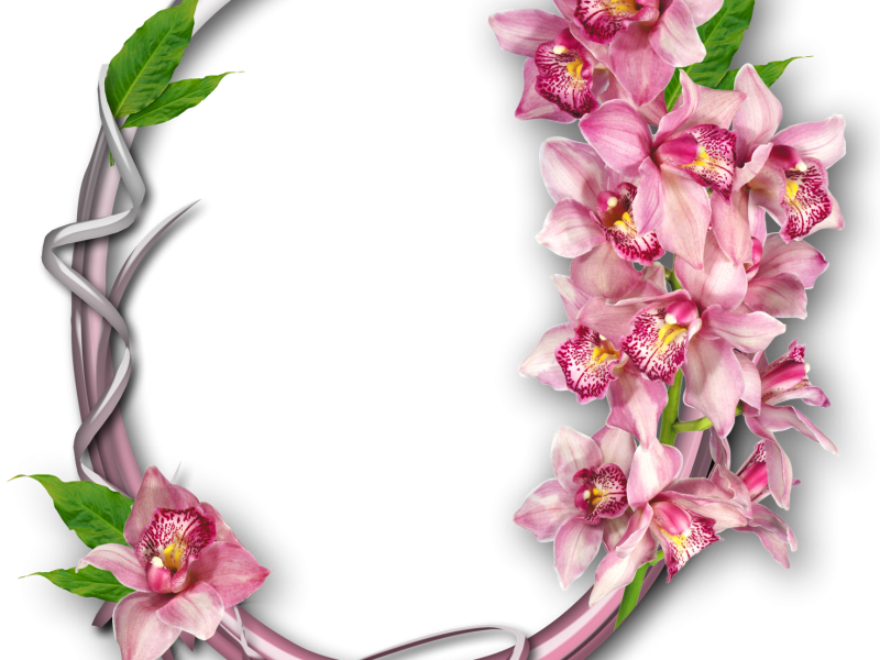 Marco Flores Net Worth - เนย สี ฟ้า กรอบ ดอกไม้ (800x600)