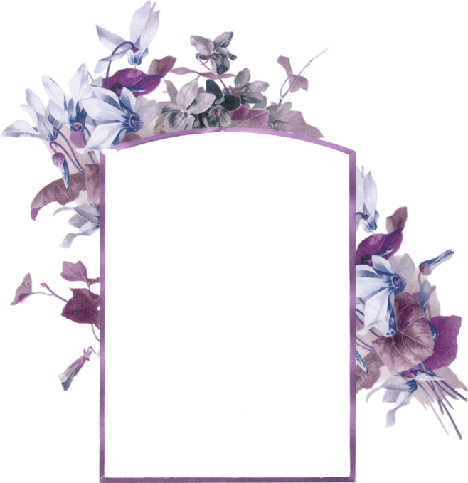 Bee Paper Picture Frame Flower Business Card - Flower Borders And Frames (658x679)