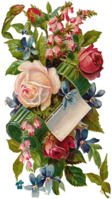 Flower Drawing Painting Illustration - Flower Drawing Painting Illustration (500x500)