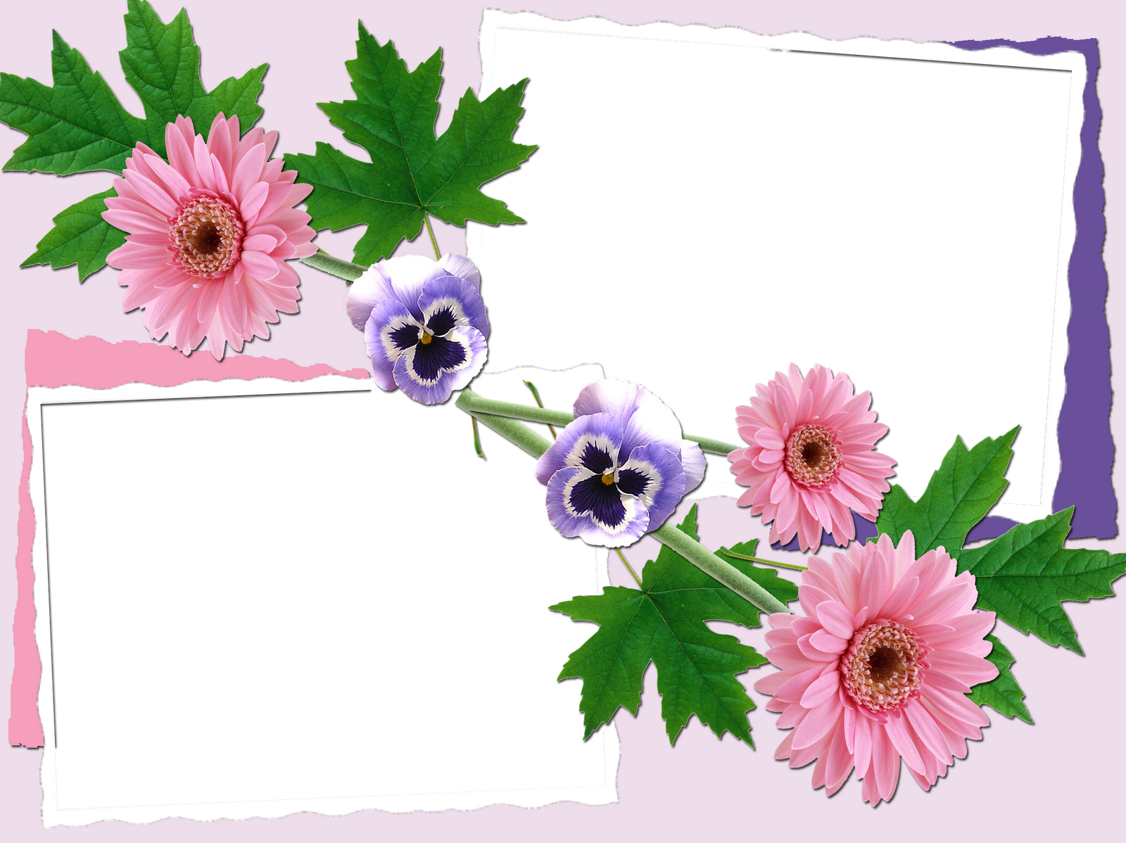 Marcos Para Fotos Con Flores - Canadian Institutes Of Health Research (1600x1198)