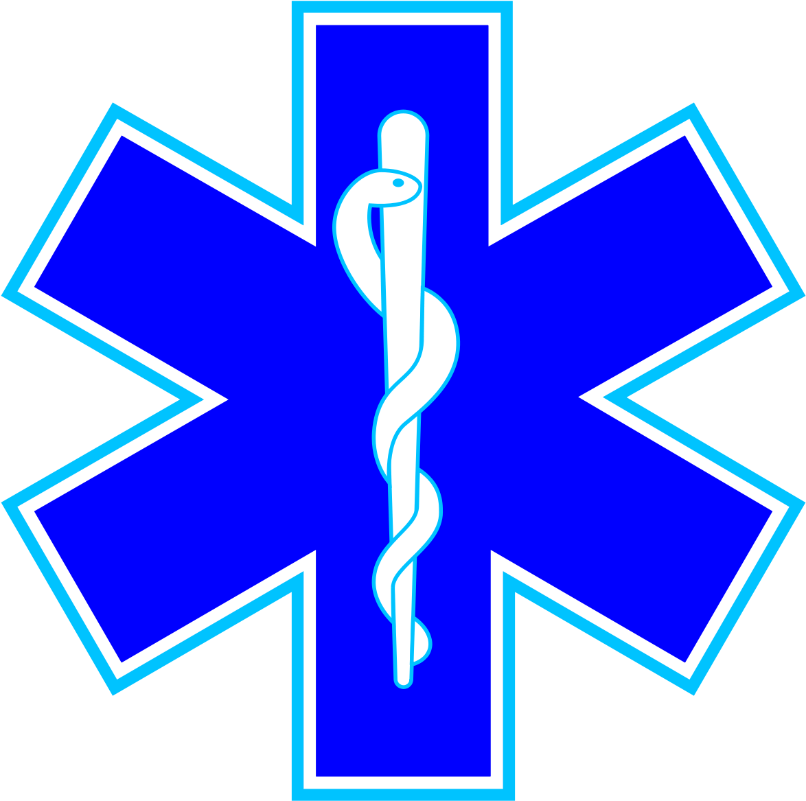 Star Of Life3 - Star Of Life (1200x1200)