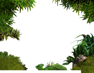 Jungle Border Png Transparent Image - Jungle Border Transparent (400x312)