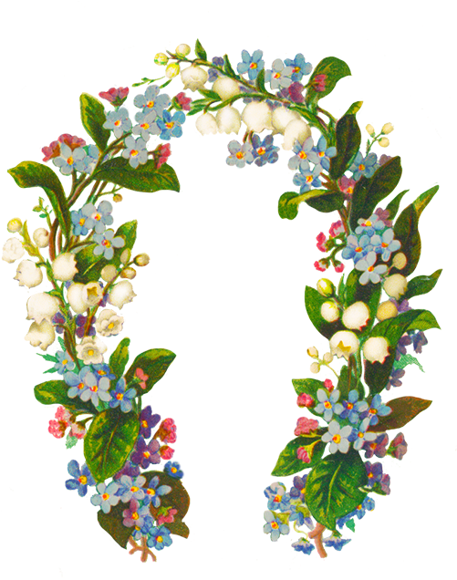 Forget Me Not And Lillie In The Valley Flower Frame - Lily Border Png (500x650)