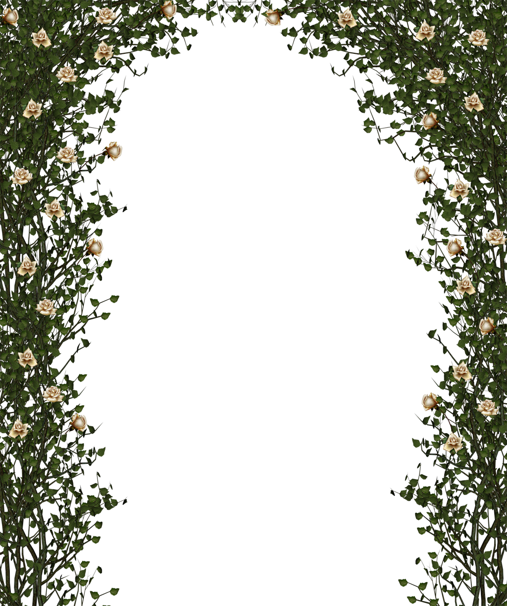 Rose Bush Frame Png Image - Арка Пнг (1035x1237)