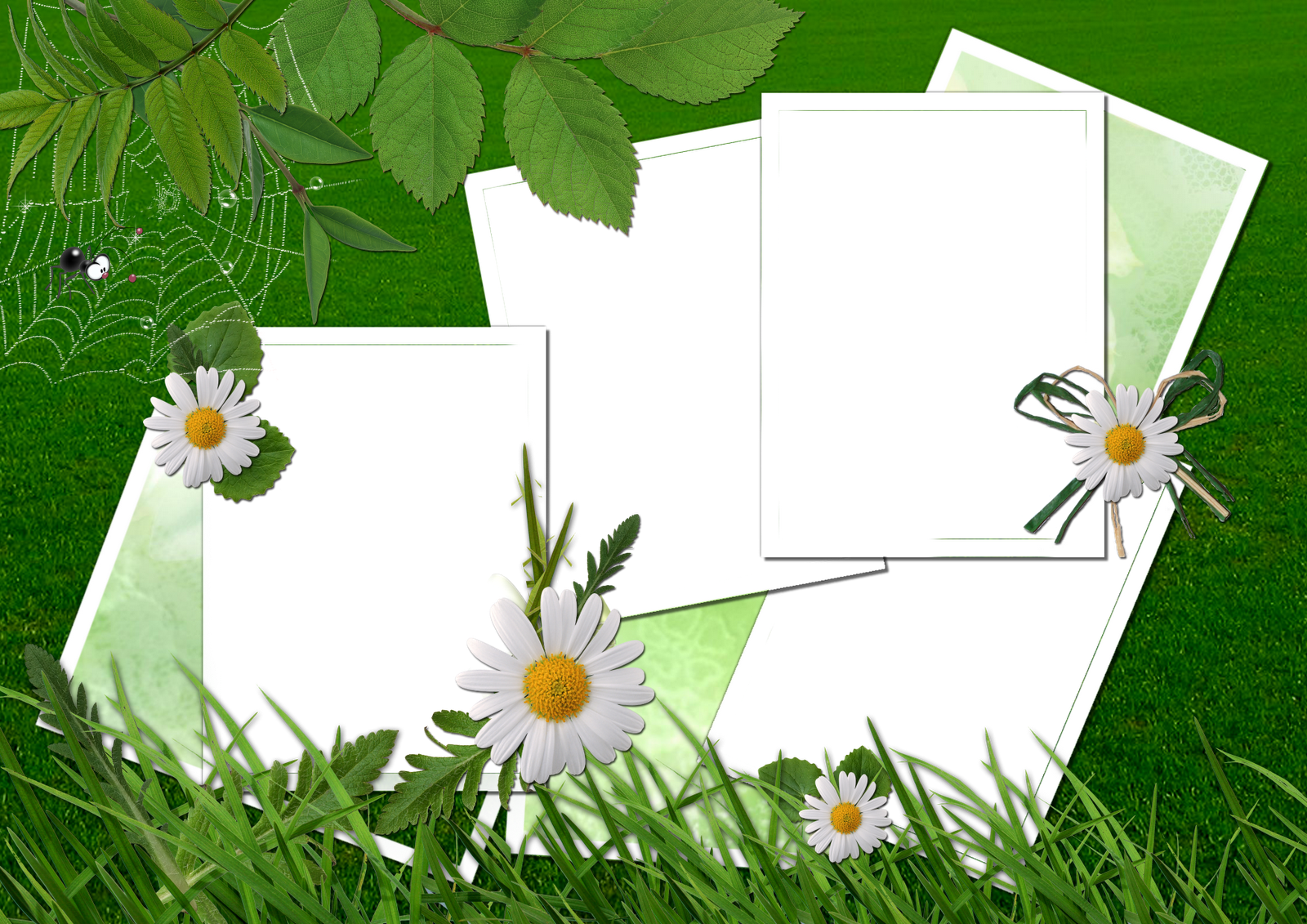 Frame Wallpapers, Download Frame Hd Wallpapers For - Frame Wallpapers, Download Frame Hd Wallpapers For (1600x1131)
