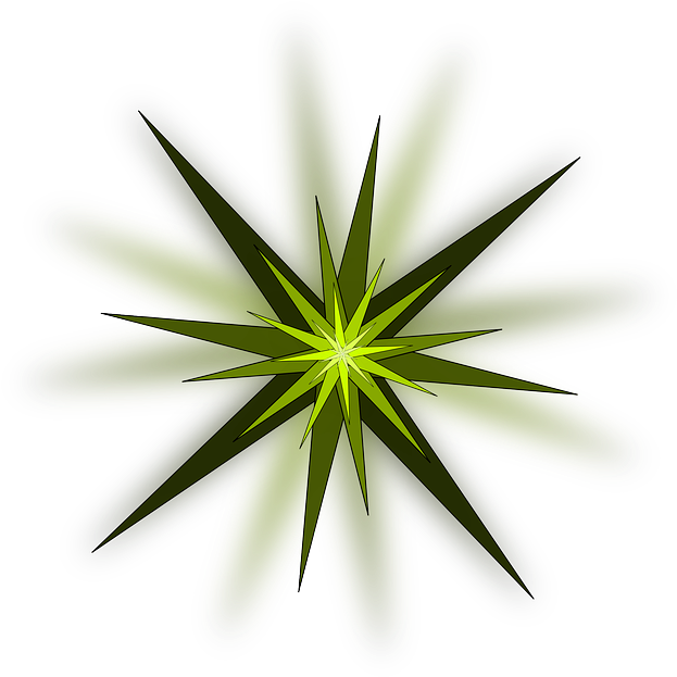 Green Star Clipart - Light Burst Clip Art (640x640)