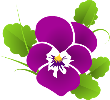 Pansy Violet Viola Violaceae Blossom Bloom - Pansy Clipart (374x340)