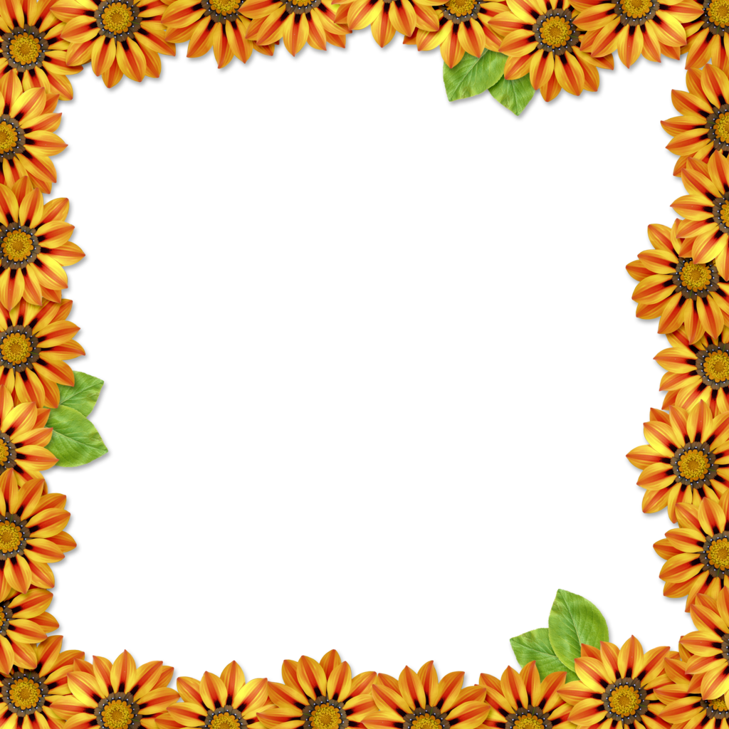 Flower Frame Overlay By Hggraphicdesigns On Deviantart - Deviantart (1024x1024)