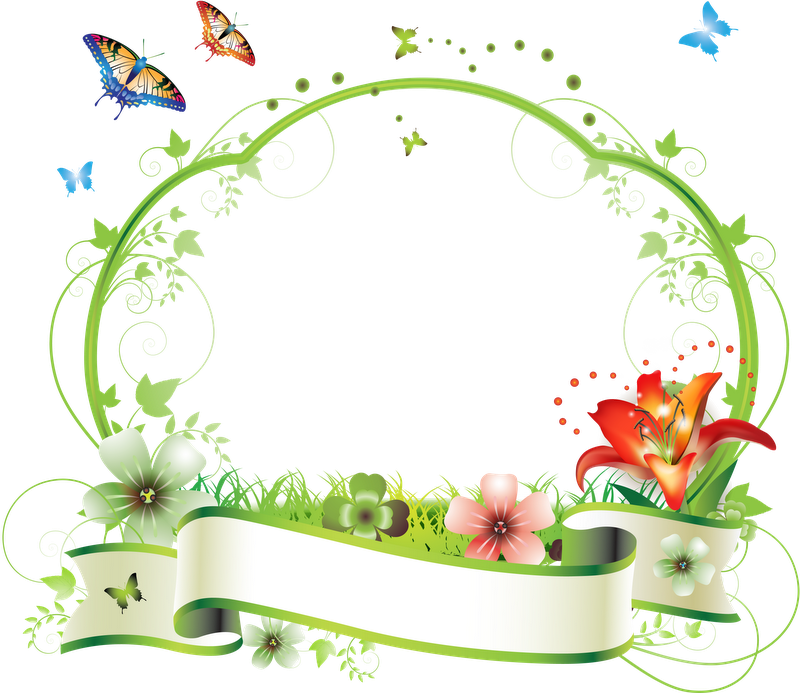 Butterflies & Flowers Frame Çerçeve-frame & Border - Frame Floral Png (800x693)