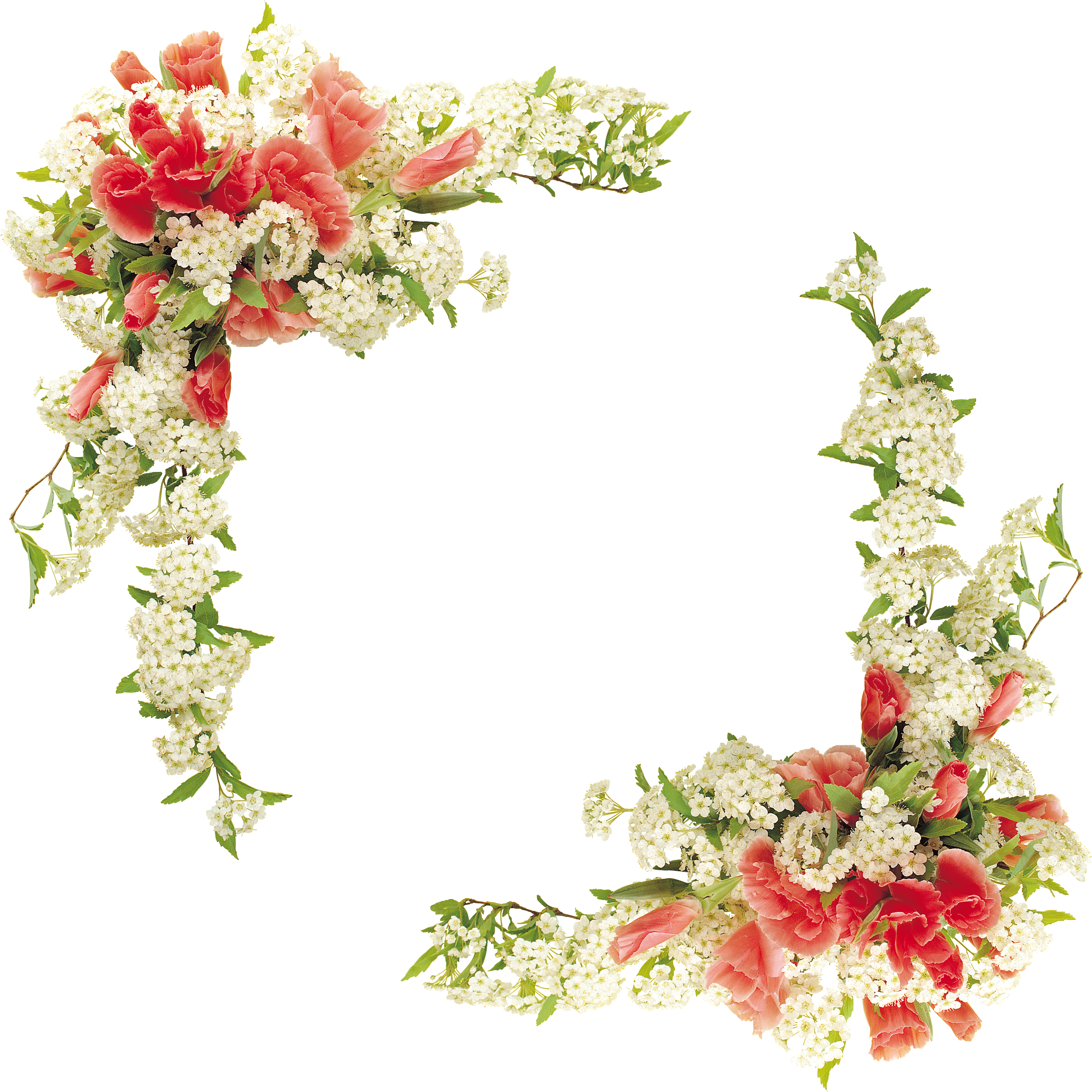 Border Flowers Floral Design - Floral Border Design (3845x3845)