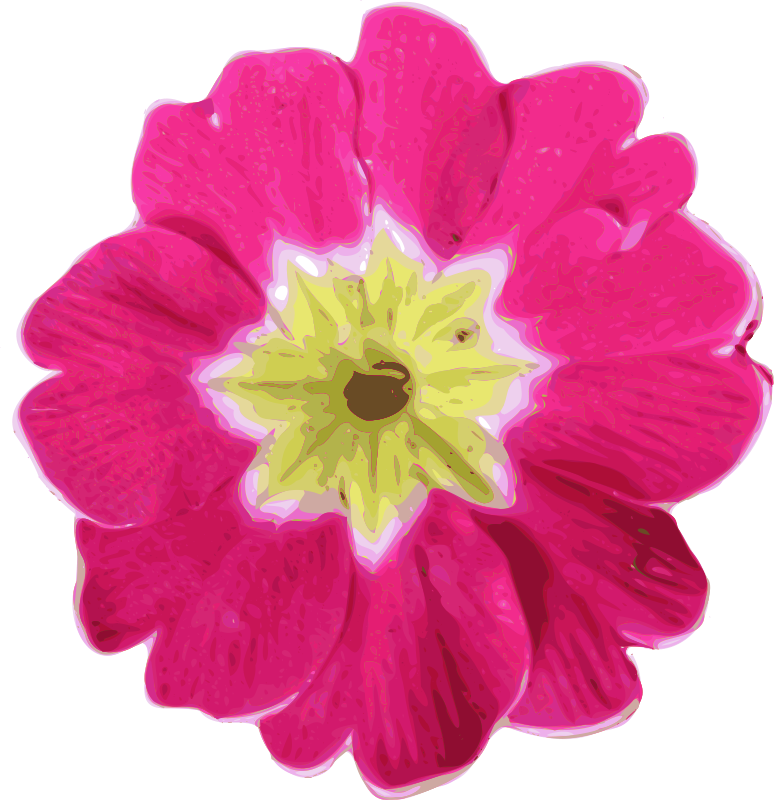 Free Vector Pink Flower Clip Art Graphic Available - Pink Flower Vector (774x800)