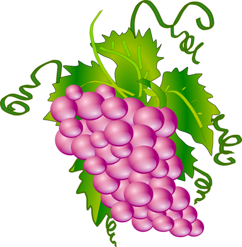 Grape Vector Graphics - Grapes Tree Clip Art (490x500)