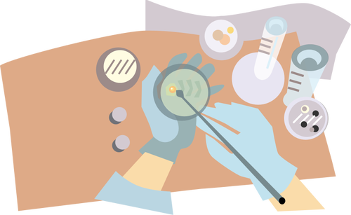 Vector Graphics Of Microbiologist Putting Bacteria - Agar Plate Clipart (500x307)