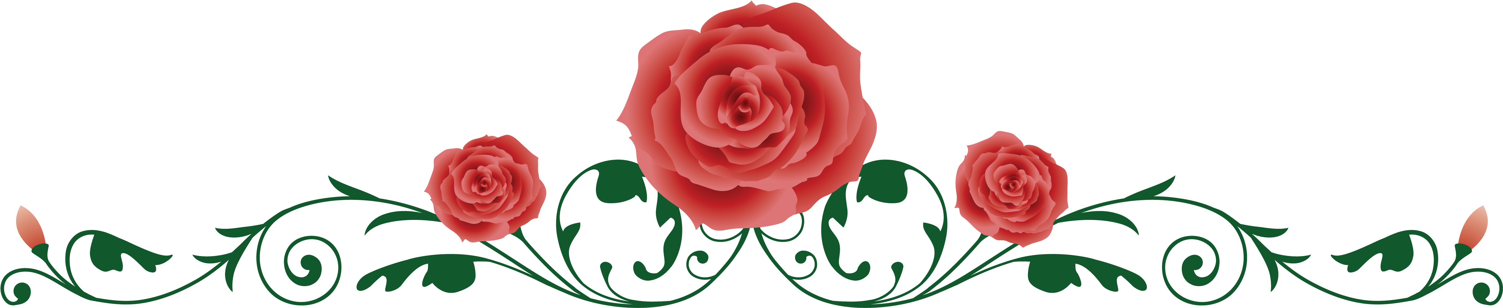 Rose Vine Thorns, Spines, And Prickles Clip Art - Red Rose Vine Border (5206x1143)