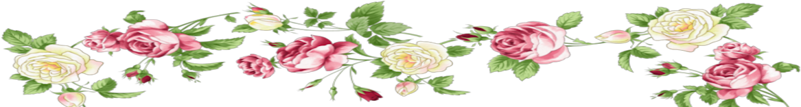 High Altitude Organics * Naturals * Herbs * Essentials - Garden Roses (1180x200)