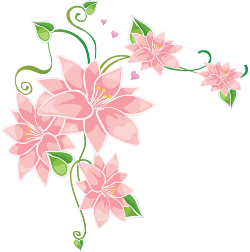 Flower Bar, Corner Designs, Photo Paint, Floral Border, - Stargazer Lily (496x500)