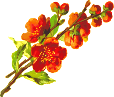 Flowers Vector Graphics - Yoga Morganna Flower Bamboo Natural Rug Housewarming (398x340)