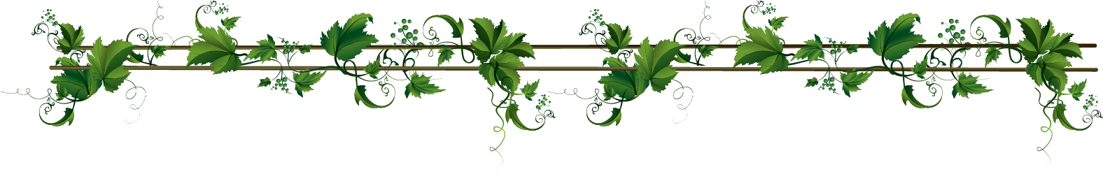 Vines Border - Animal (1588x256)