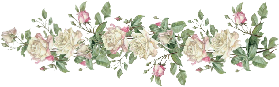 Vintage Frame Clip Art - Floral Frame Png Transparent (911x433)