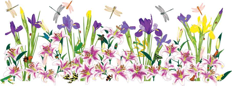 Colorful Design Border Png (918x374)