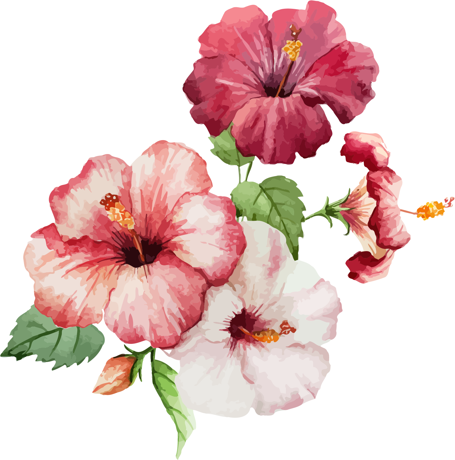 Hibiscus Flower Drawing Watercolor Painting - Cute Tropical Flowers 2017-2018 Monthly Calendar: 17 (1754x1746)