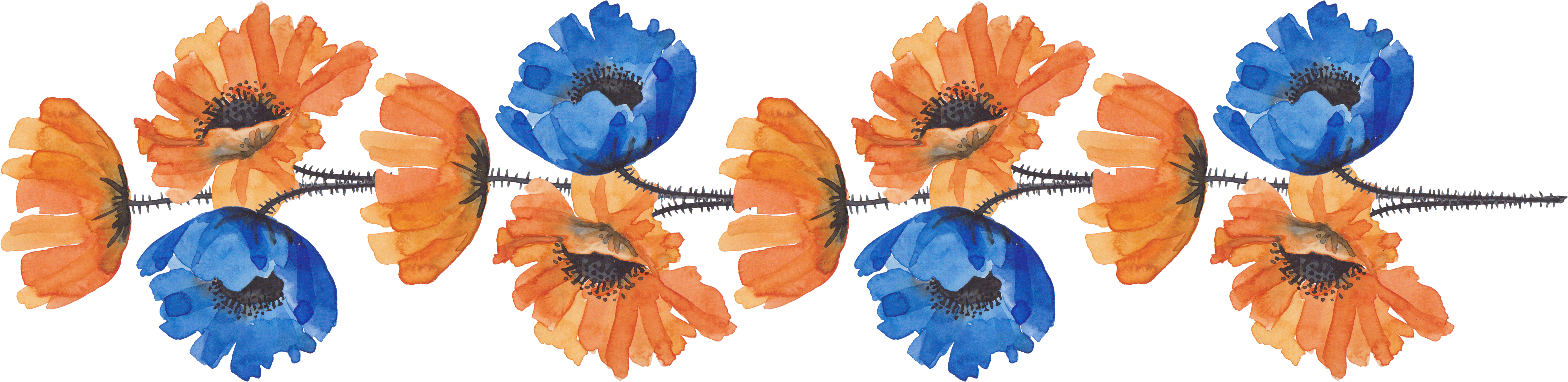 Border Flowers Cut Flowers - Orange And Blue Flower Border (5727x1396)