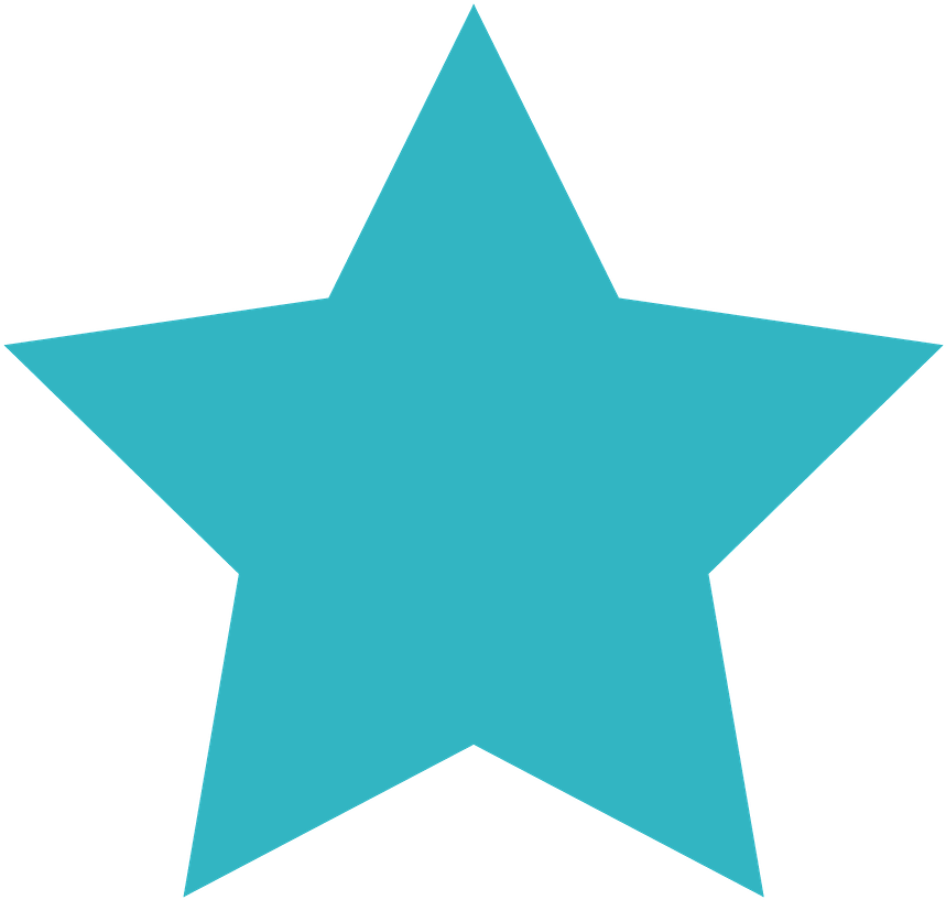 Ursinhos E Ursinhas - Blue Star Icon Png (900x858)
