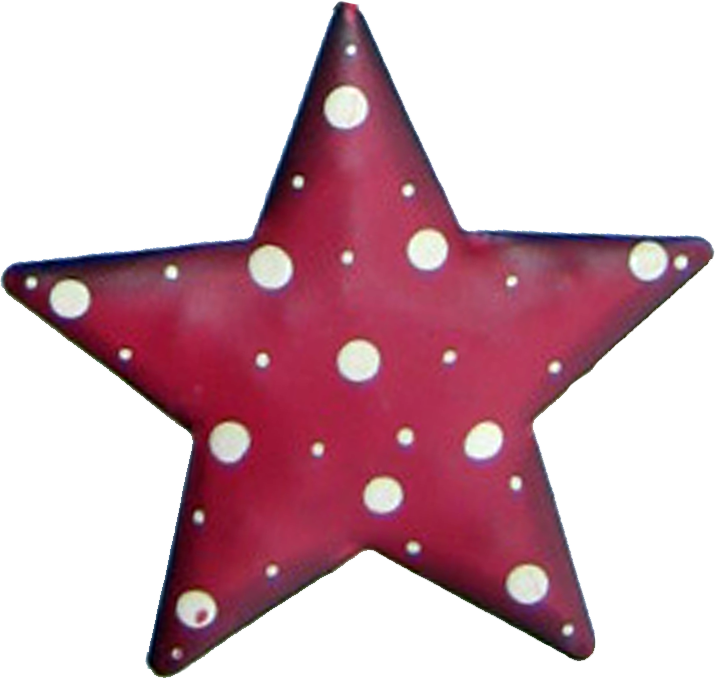 Chriscrap El - Pakistan Cricket Team Logo (716x679)