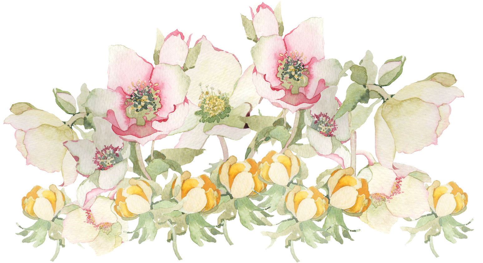 Spring Flowers Png - Jogo De Pratos Rasos Porto Brasil Modelo Aquarelle (1600x900)
