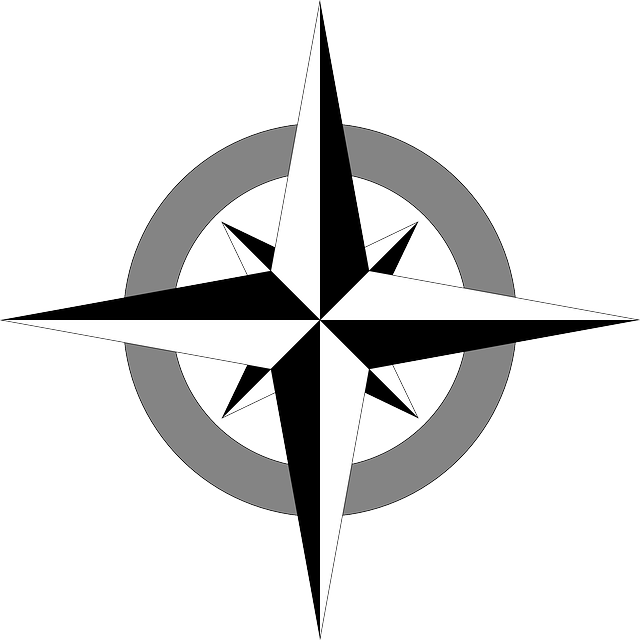 Wind Rose Cartography, Compass, Map, Compass Rose, - Simple Compass Rose Vector (640x640)