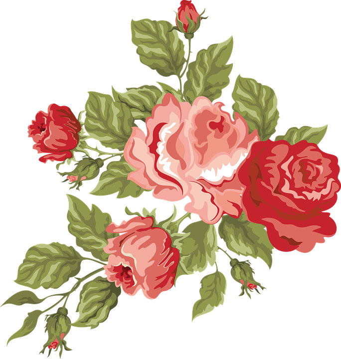 Flower Illustrations 18, Buy Clip Art - Flower Rose Pink Png (684x720)