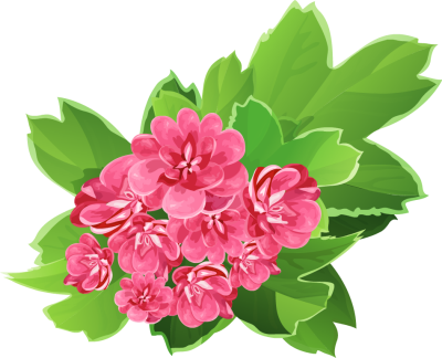 Bouquet Of Fresh Pink Flowers - Real Flower Clip Art (400x324)