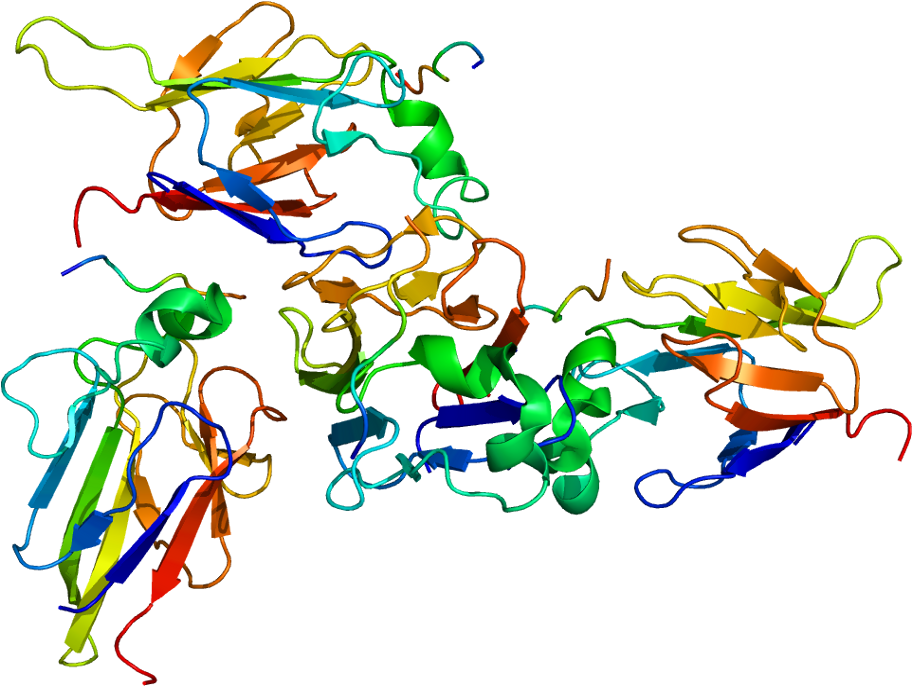 Serine Protein Kinase Atm (961x735)